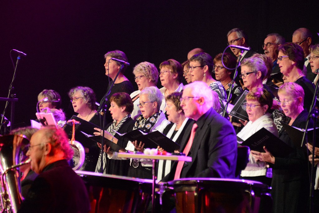 ../Images/Jubileumconcert 100 jaar Harpe Davids 101.jpg